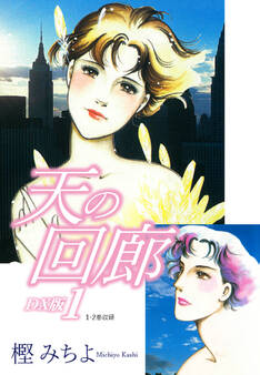 天の回廊 DX版(1)