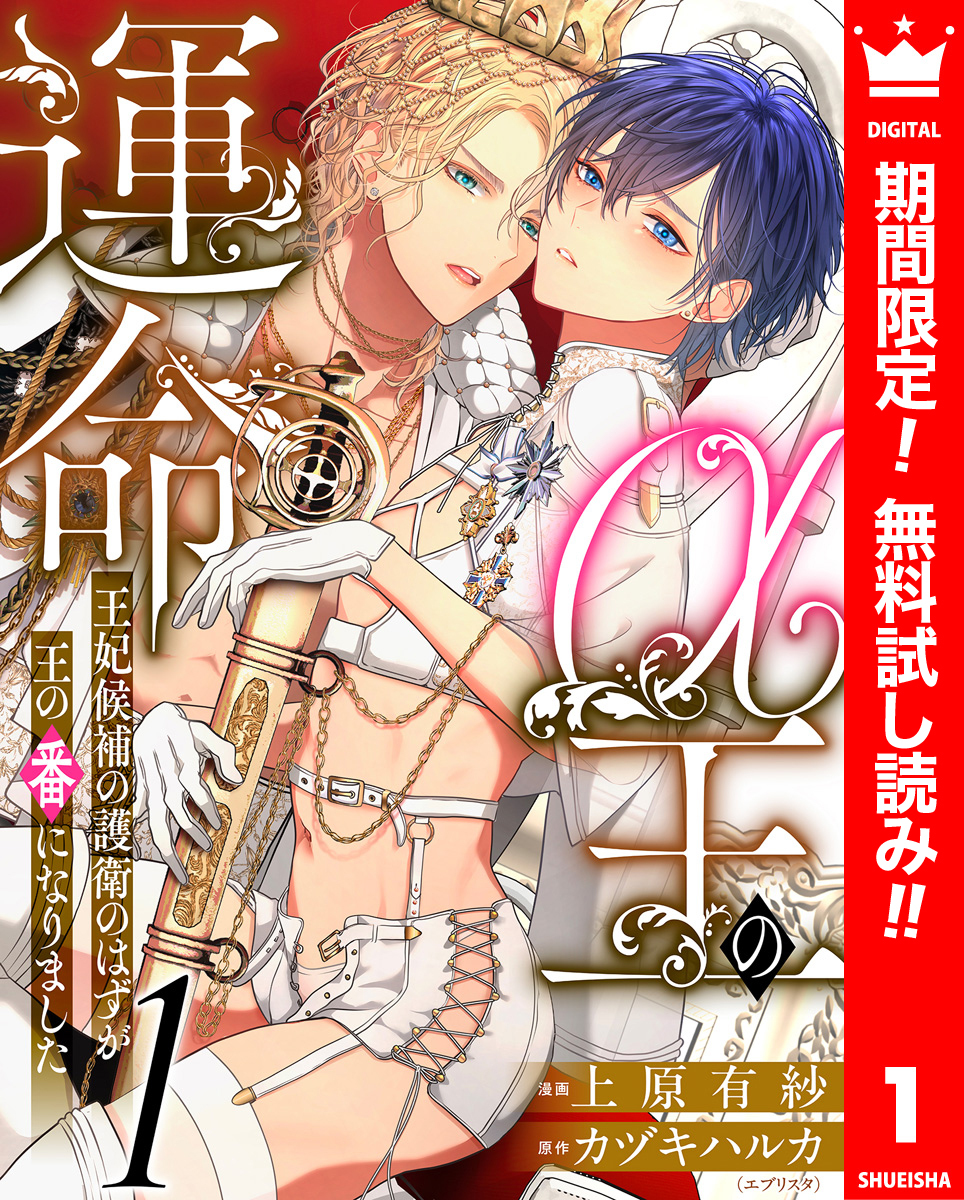 α王の運命～王妃候補の護衛のはずが王の番になりました～