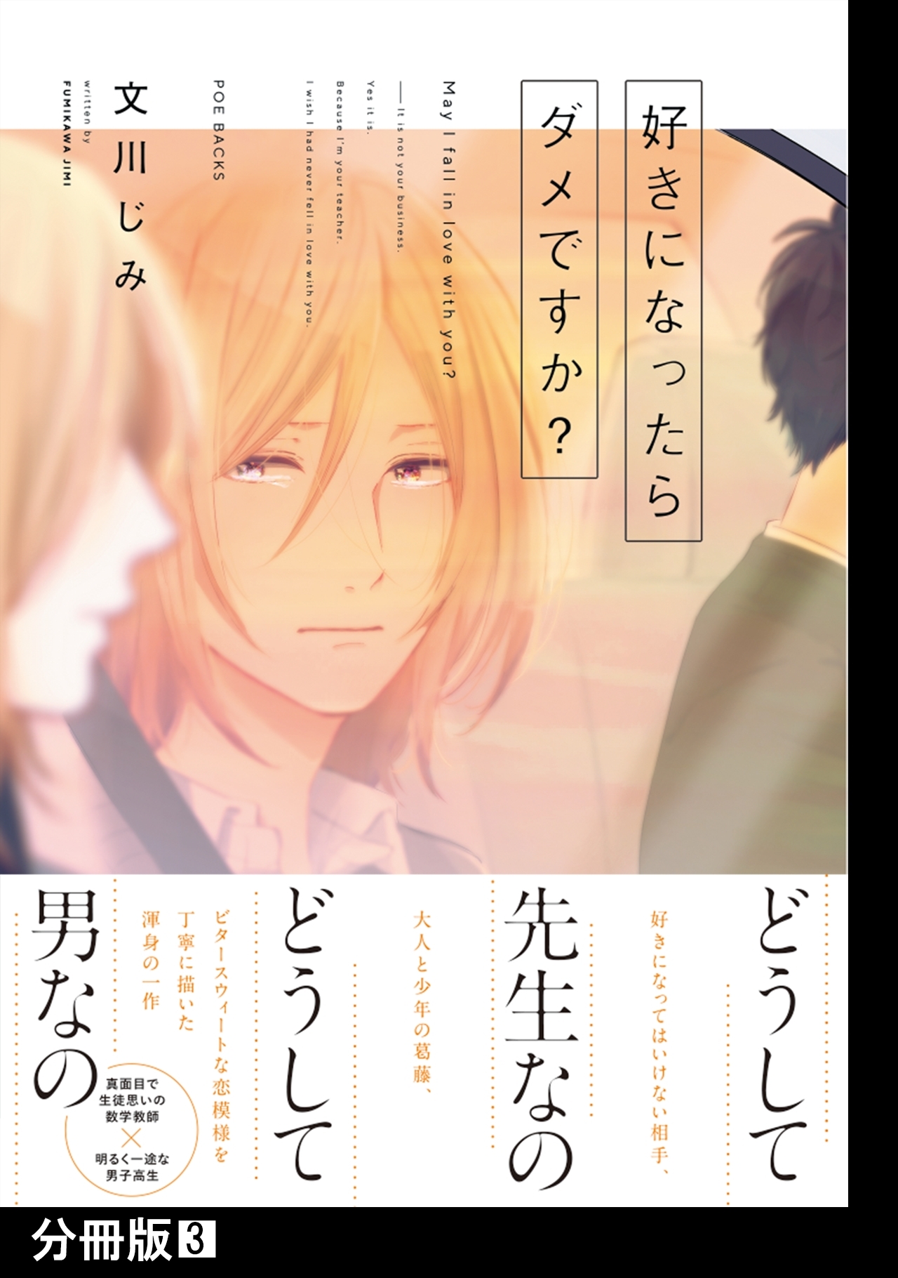 好きになったらダメですか？【分冊版】(3)