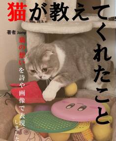 猫が教えてくれたこと