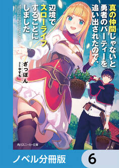 真の仲間じゃないと勇者のパーティーを追い出されたので、辺境でスローライフすることにしました【ノベル分冊版】 6
