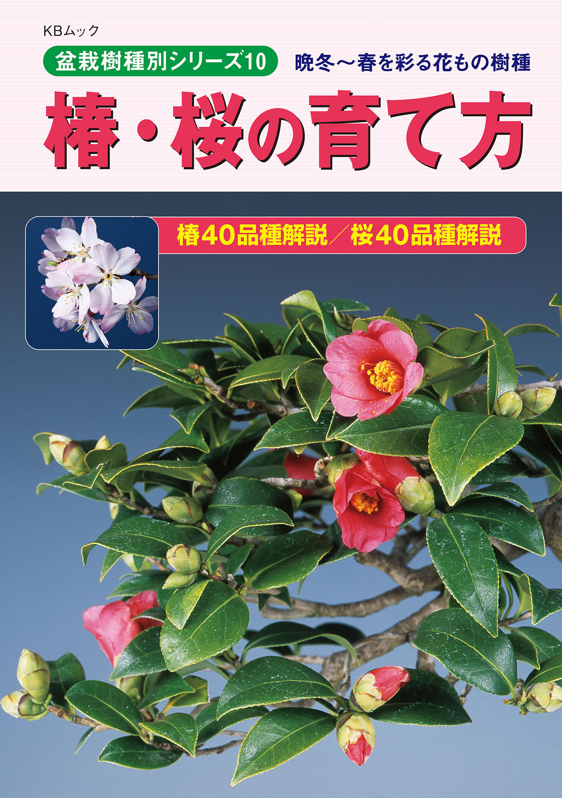 椿・桜の育て方