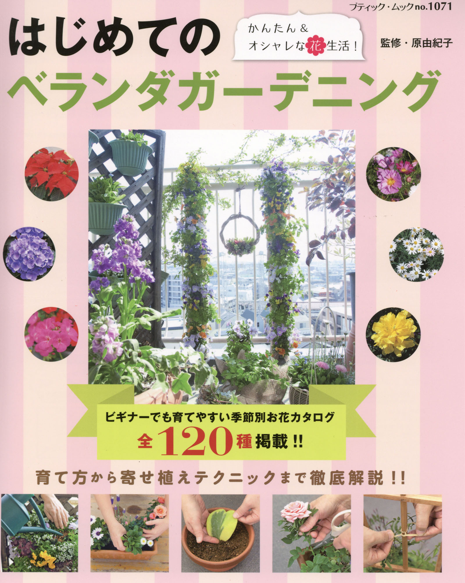 はじめてのベランダガーデニング