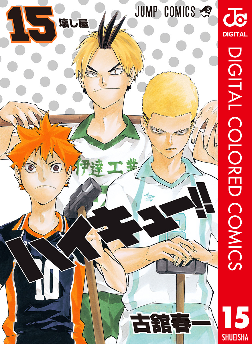 ハイキュー！！ カラー版 15