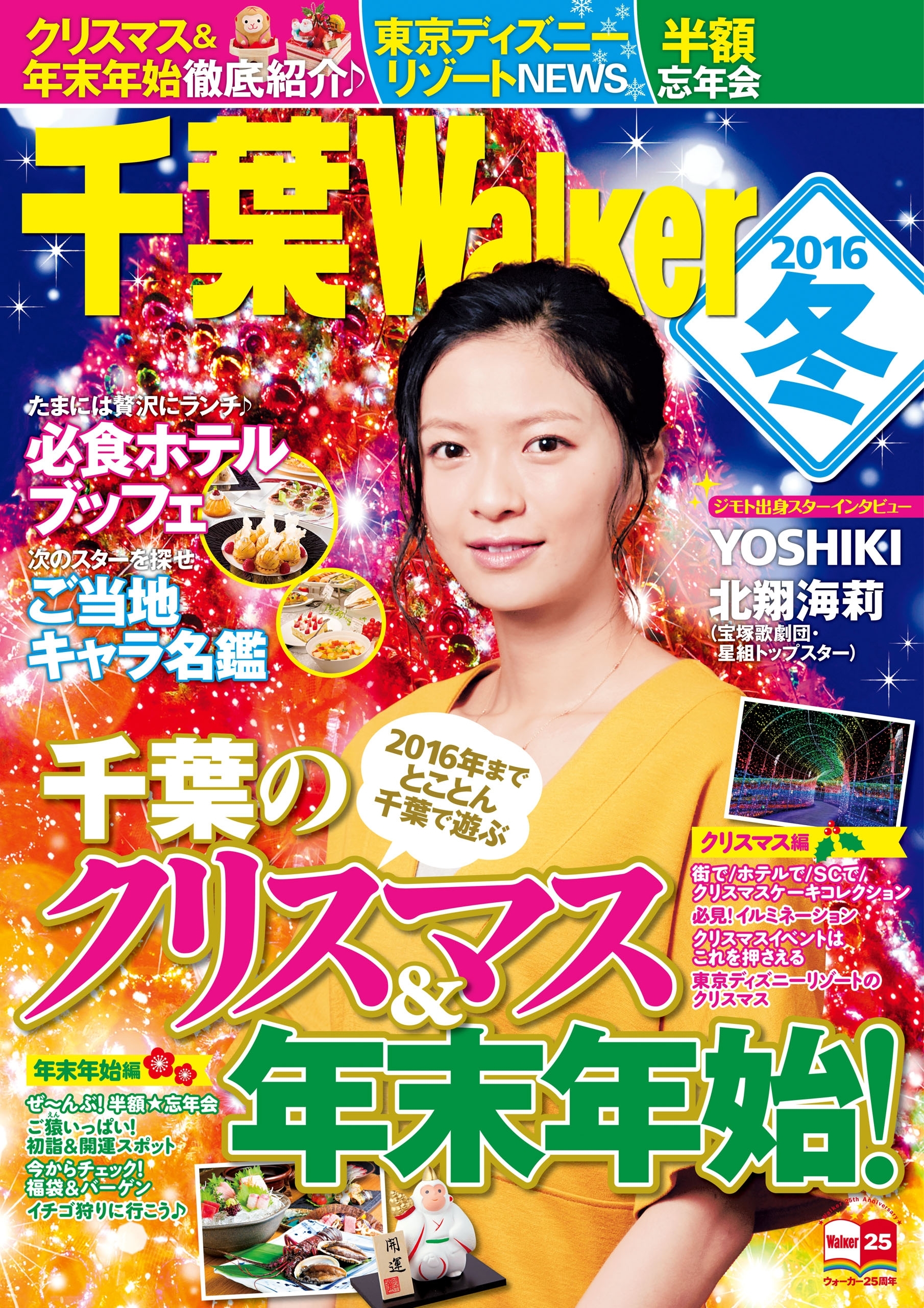 千葉Walker2016 冬