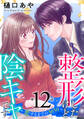 整形したけど陰キャです~恋するまでの365日~12