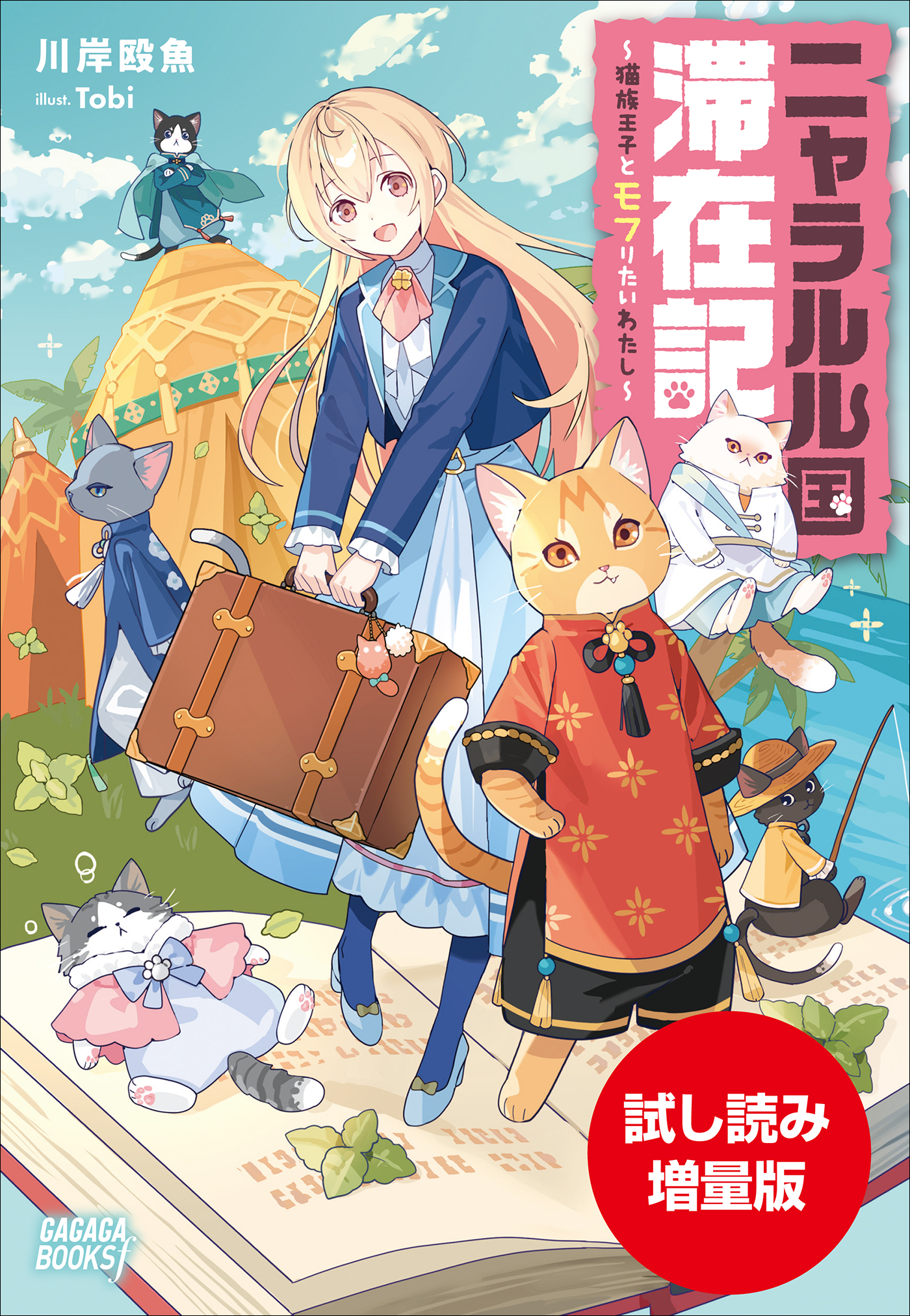 ニャラルル国滞在記
