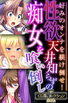 性欲天井知らずの痴女を喰い倒し ~好みのオンナを躾け倒せ!~【CG集コレクションBIG】