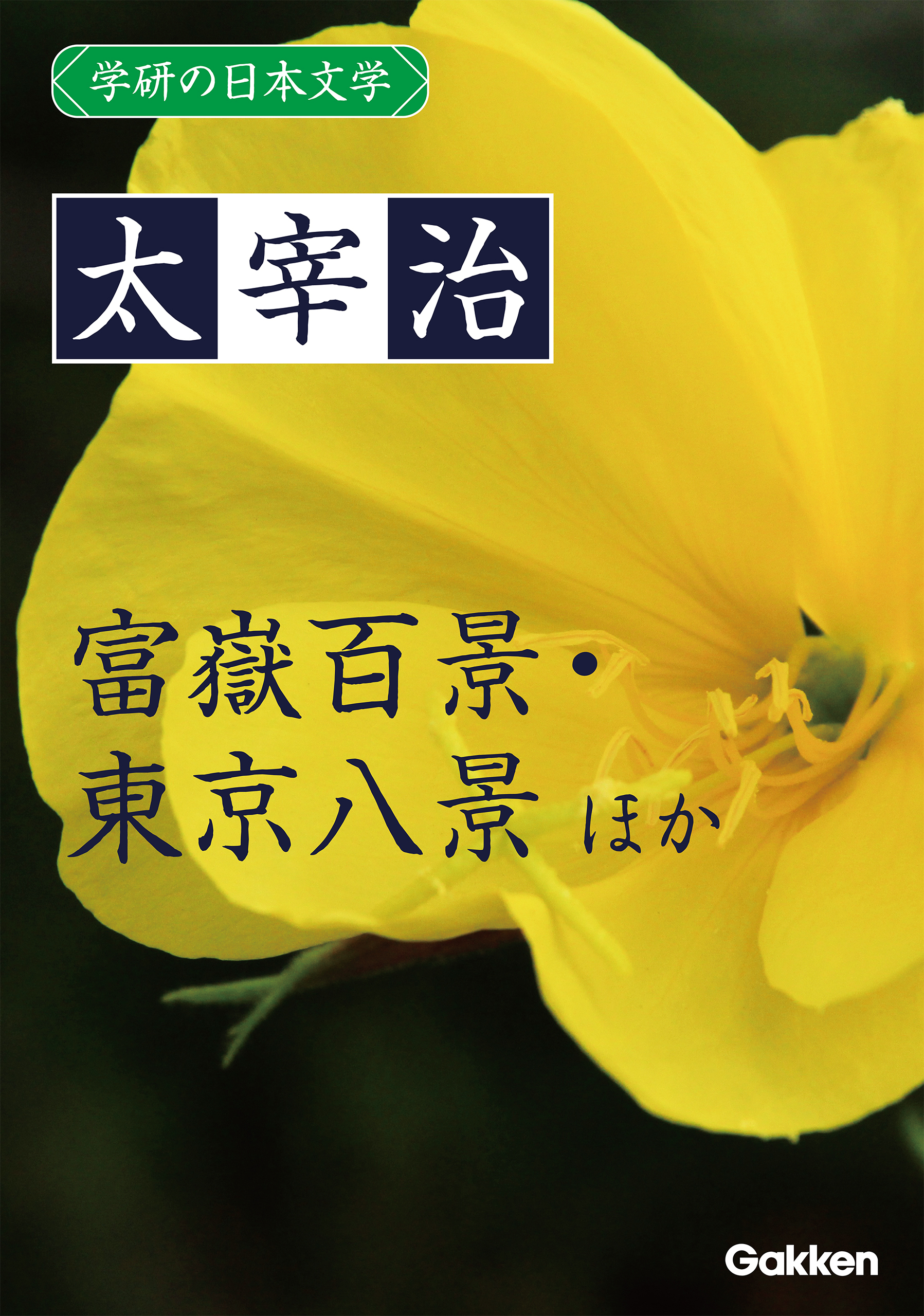 学研の日本文学 太宰治 魚服記 雀こ 待つ 富嶽百景 東京八景