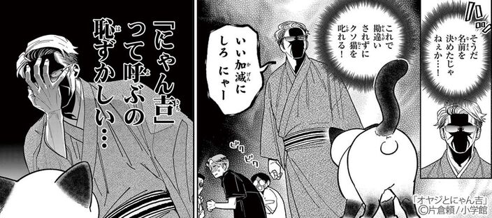 【期間限定　無料お試し版　閲覧期限2026年5月25日】オヤジとにゃん吉 1のコマ