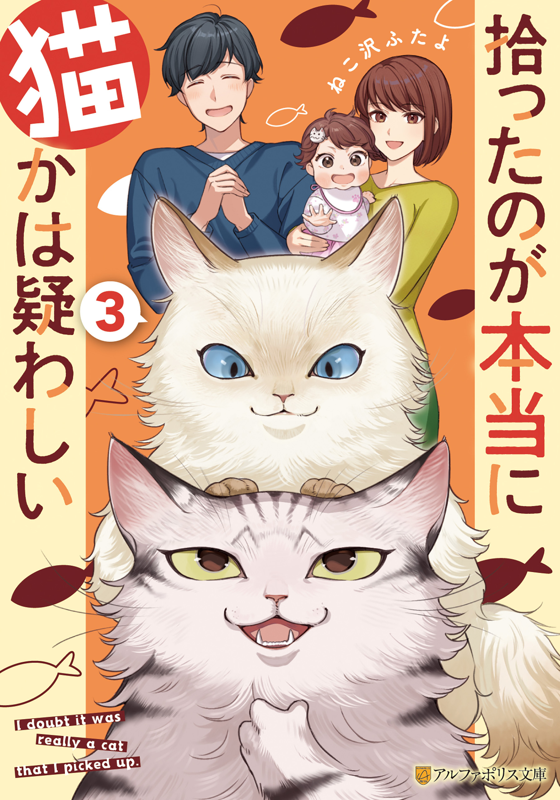 拾ったのが本当に猫かは疑わしい