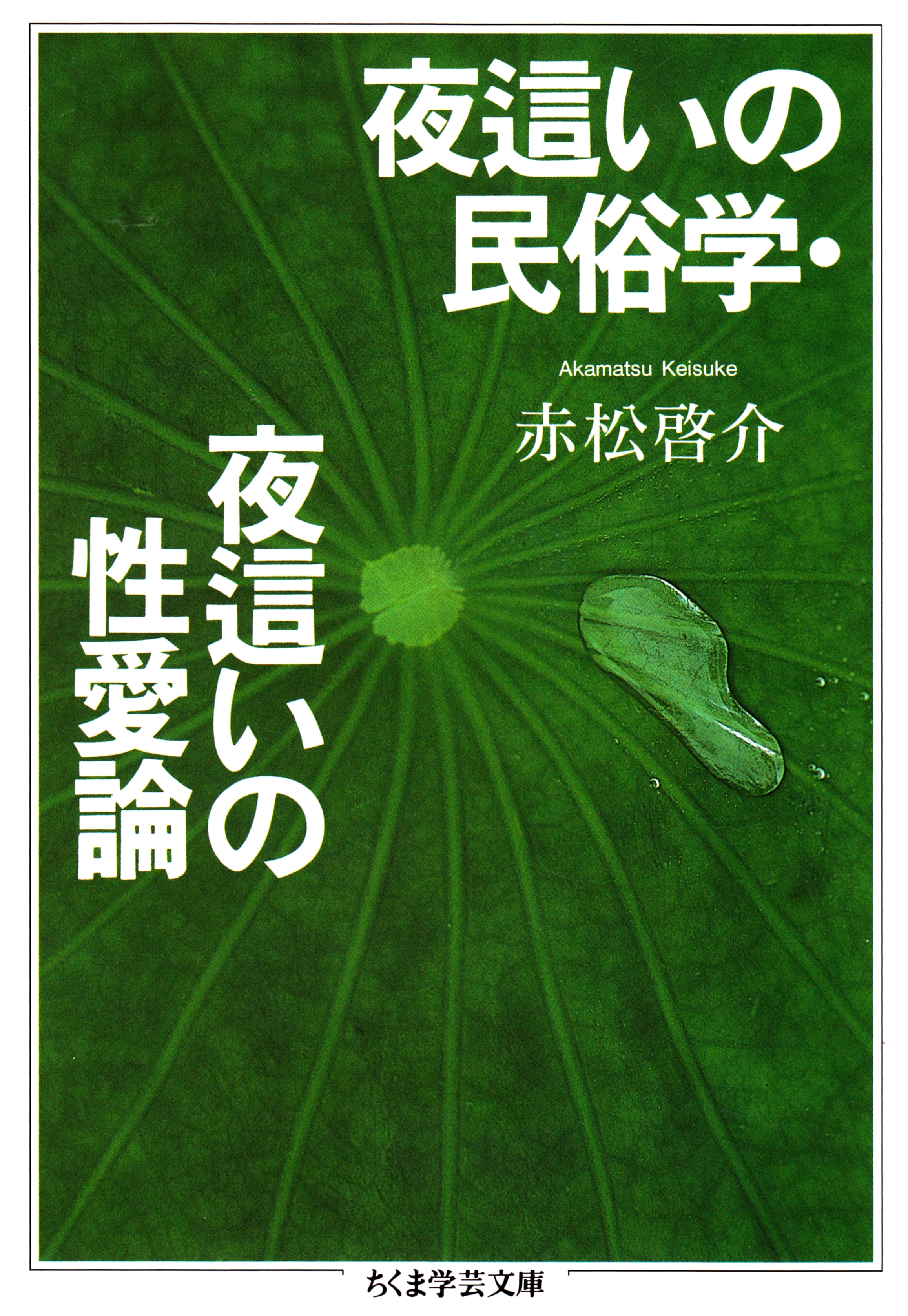 夜這いの民俗学・夜這いの性愛論