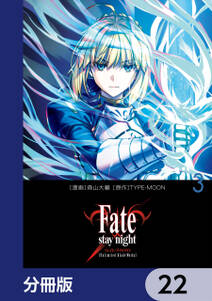 Fate/stay night［Unlimited Blade Works］【分冊版】　22
