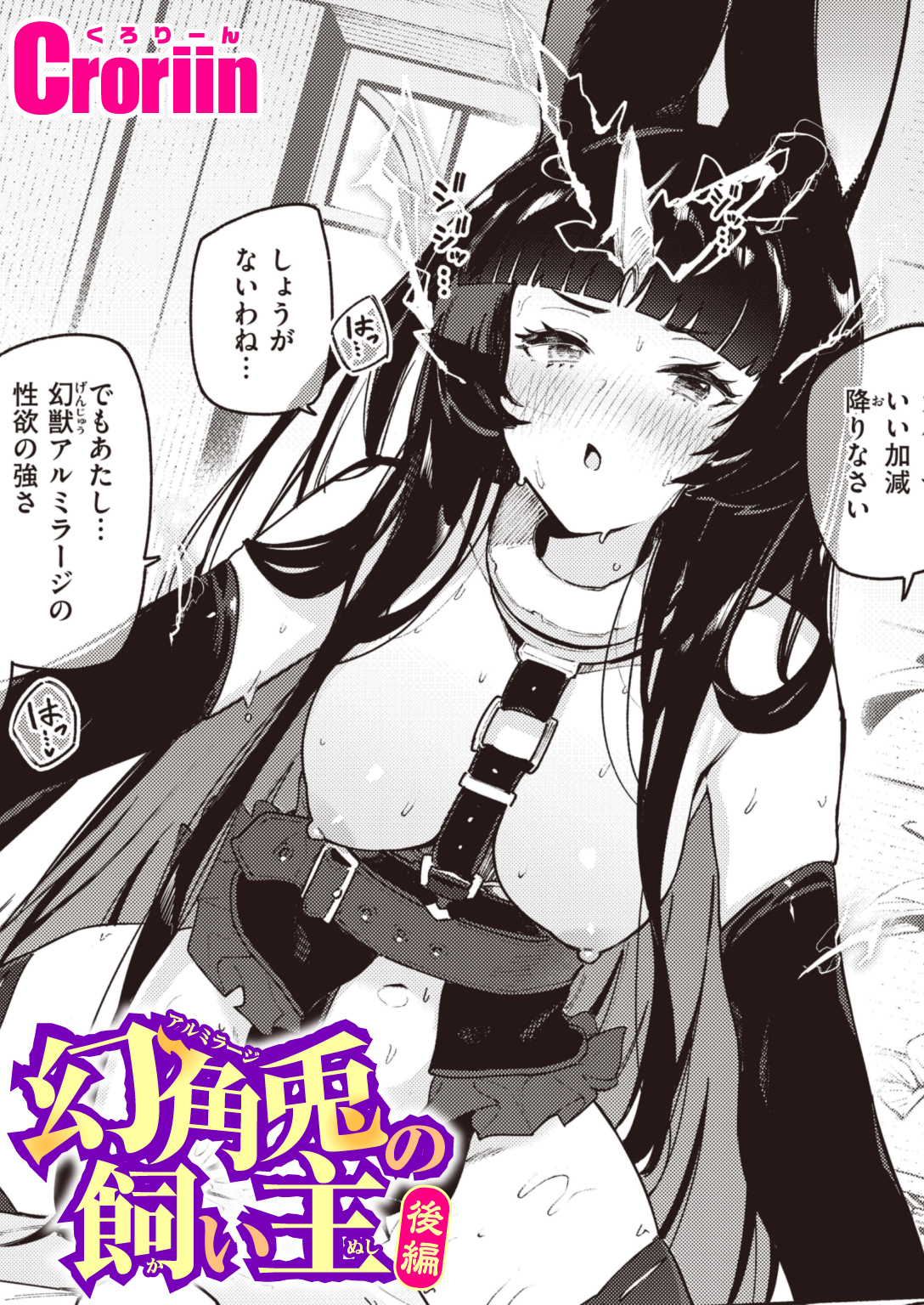 幻角兎の飼い主 後編