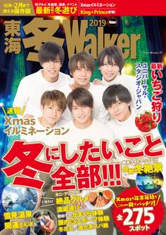 東海 冬Walker2019