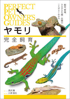 ヤモリ完全飼育