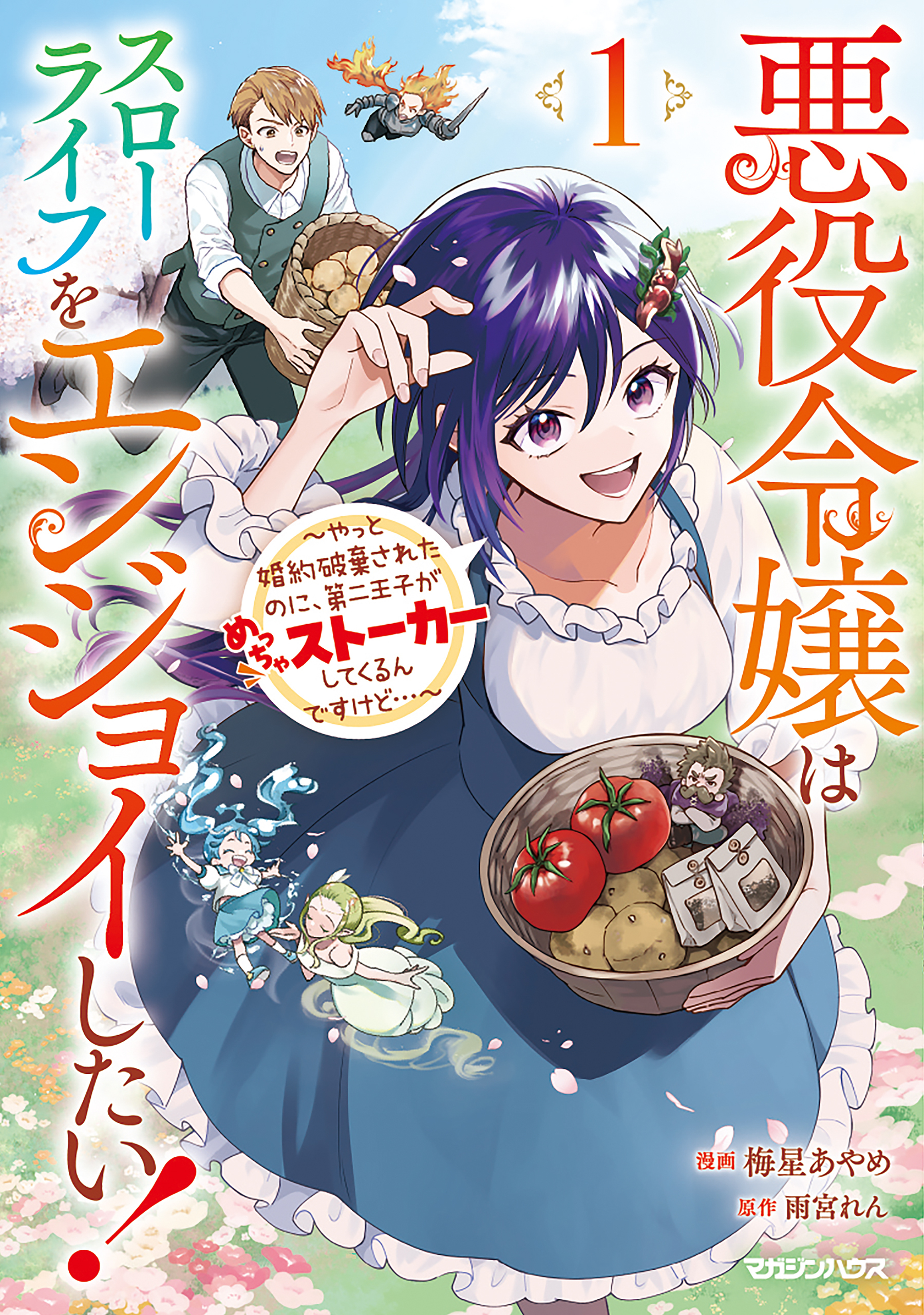 【期間限定　無料お試し版】悪役令嬢はスローライフをエンジョイしたい！～やっと婚約破棄されたのに、第二王子がめっちゃストーカーしてくるんですけど…～ 1