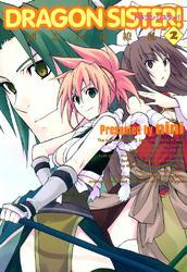 DRAGON SISTER！ -三國志 百花繚乱-　２巻