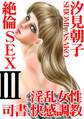 絶倫SEX3 淫乱女性司書、快感調教