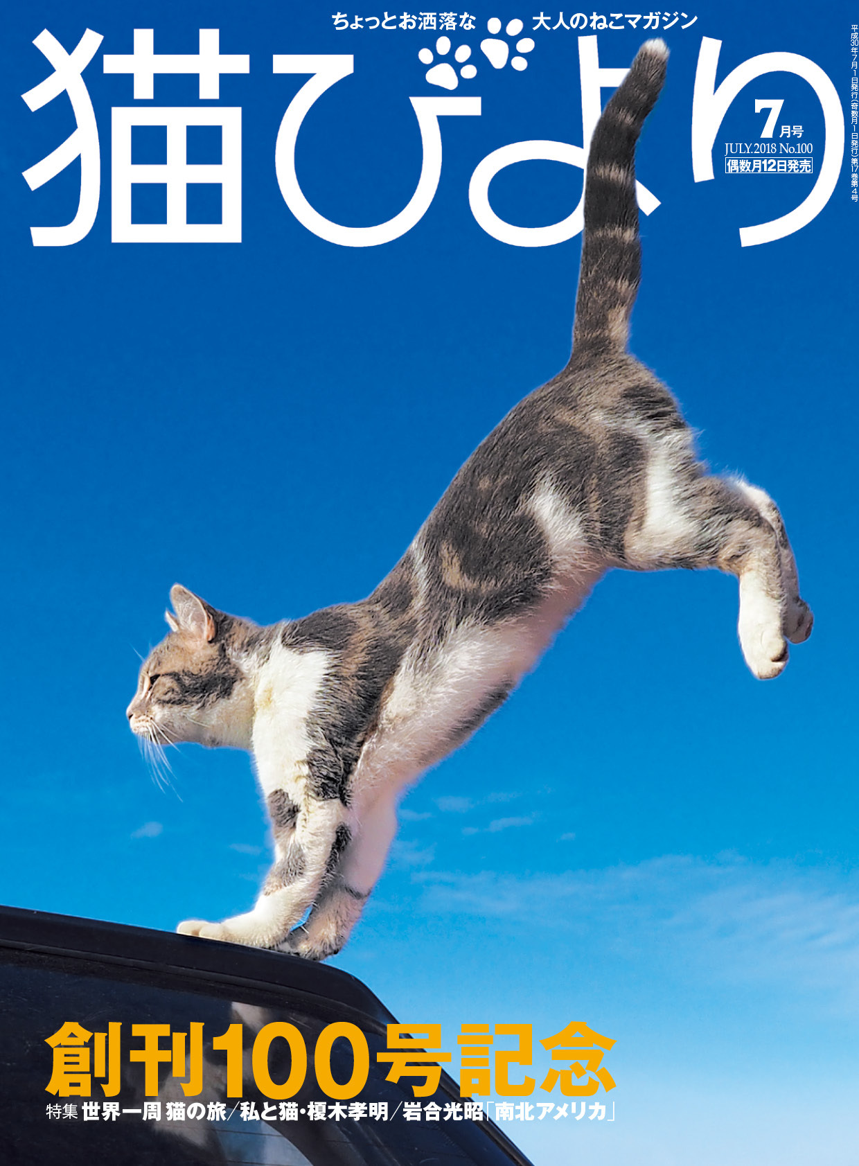 猫びより2018年7月号　Vol.100