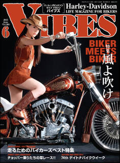 VIBES【バイブズ】2015年6月号