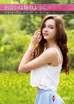 出会いは嵐のように【ハーレクインSP文庫版】