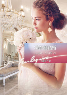 遠距離結婚【ハーレクイン文庫版】