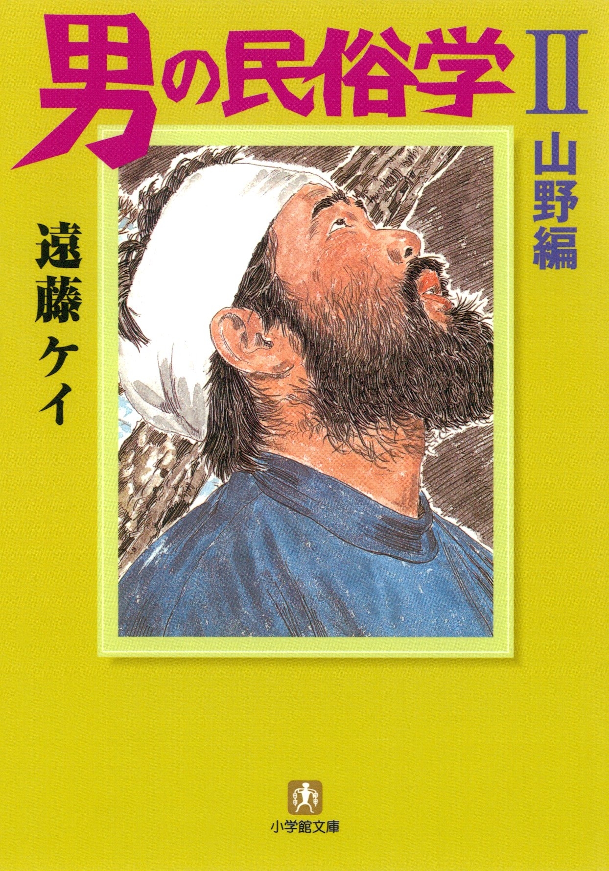 男の民俗学2　山野編　（小学館文庫）