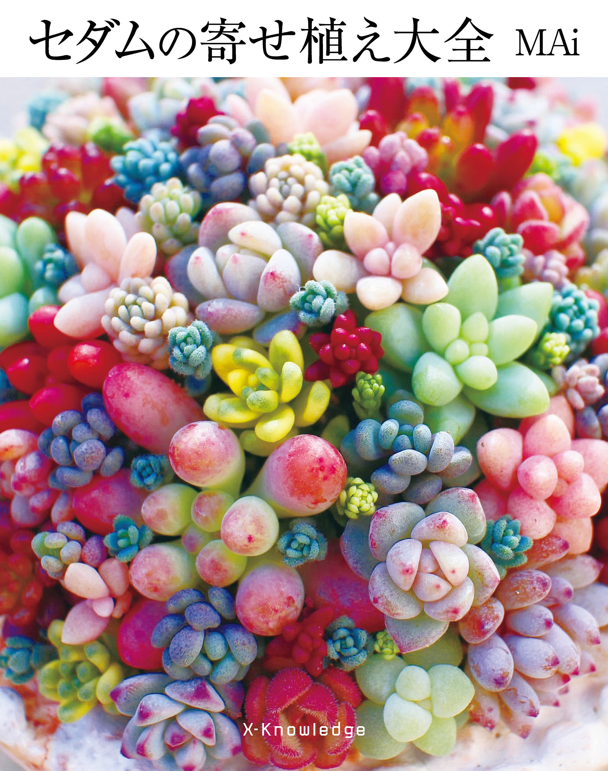 セダムの寄せ植え大全