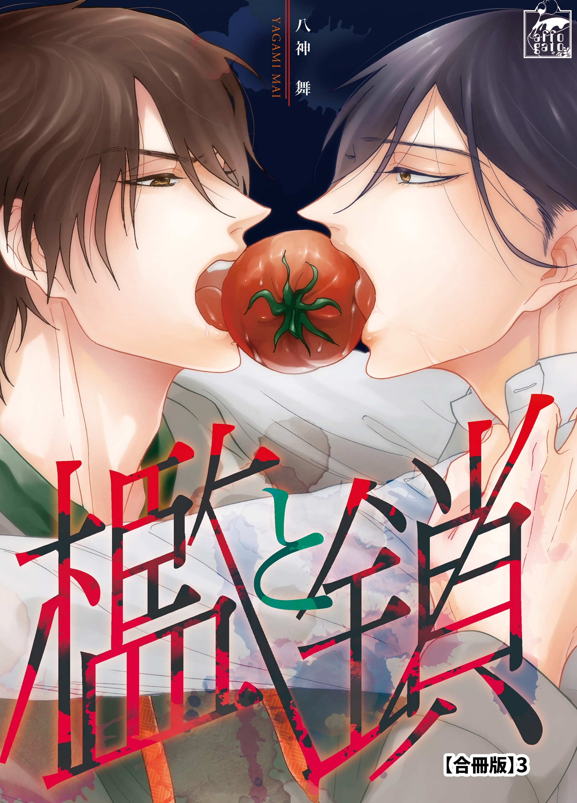 檻と鎖【合冊版】3