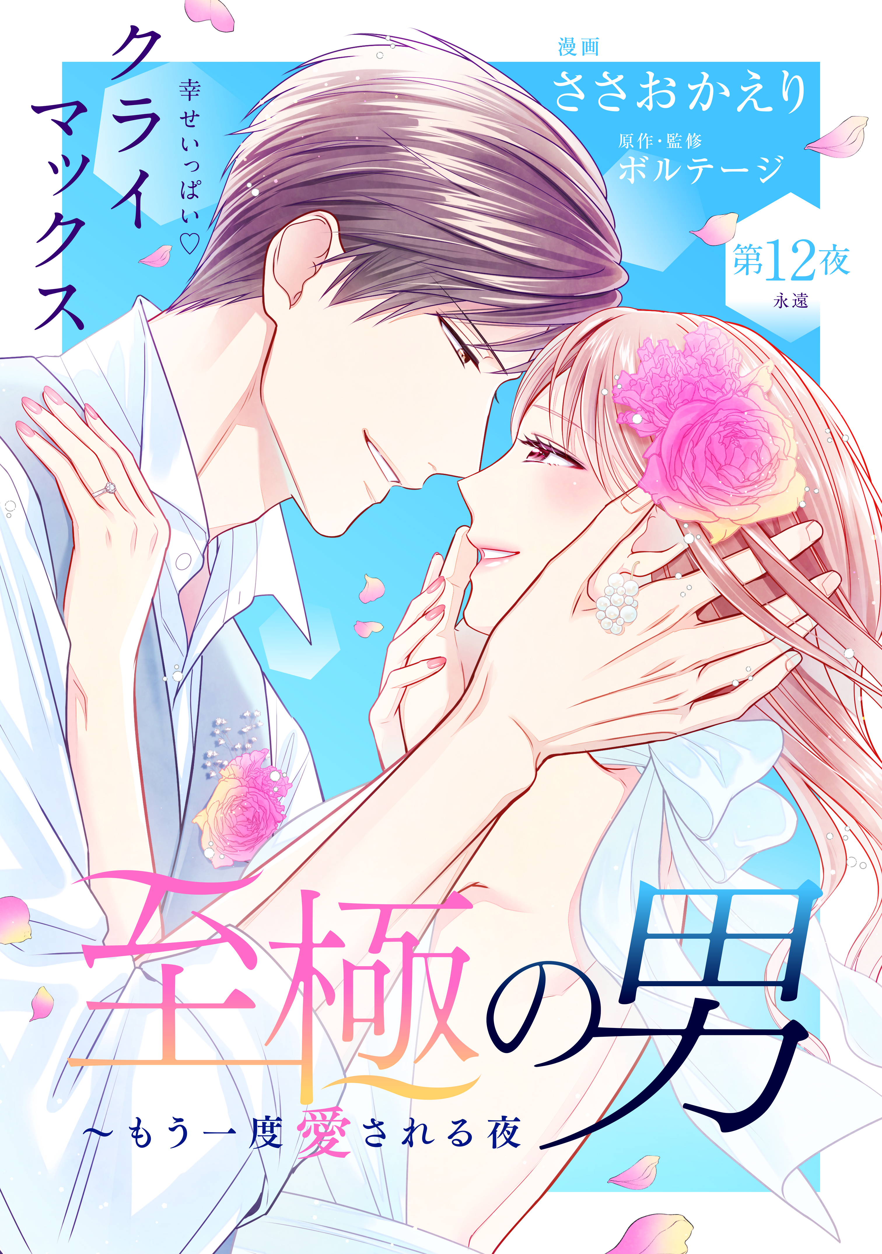至極の男～もう一度愛される夜［ｃｏｍｉｃ　ｔｉｎｔ］　分冊版（12）