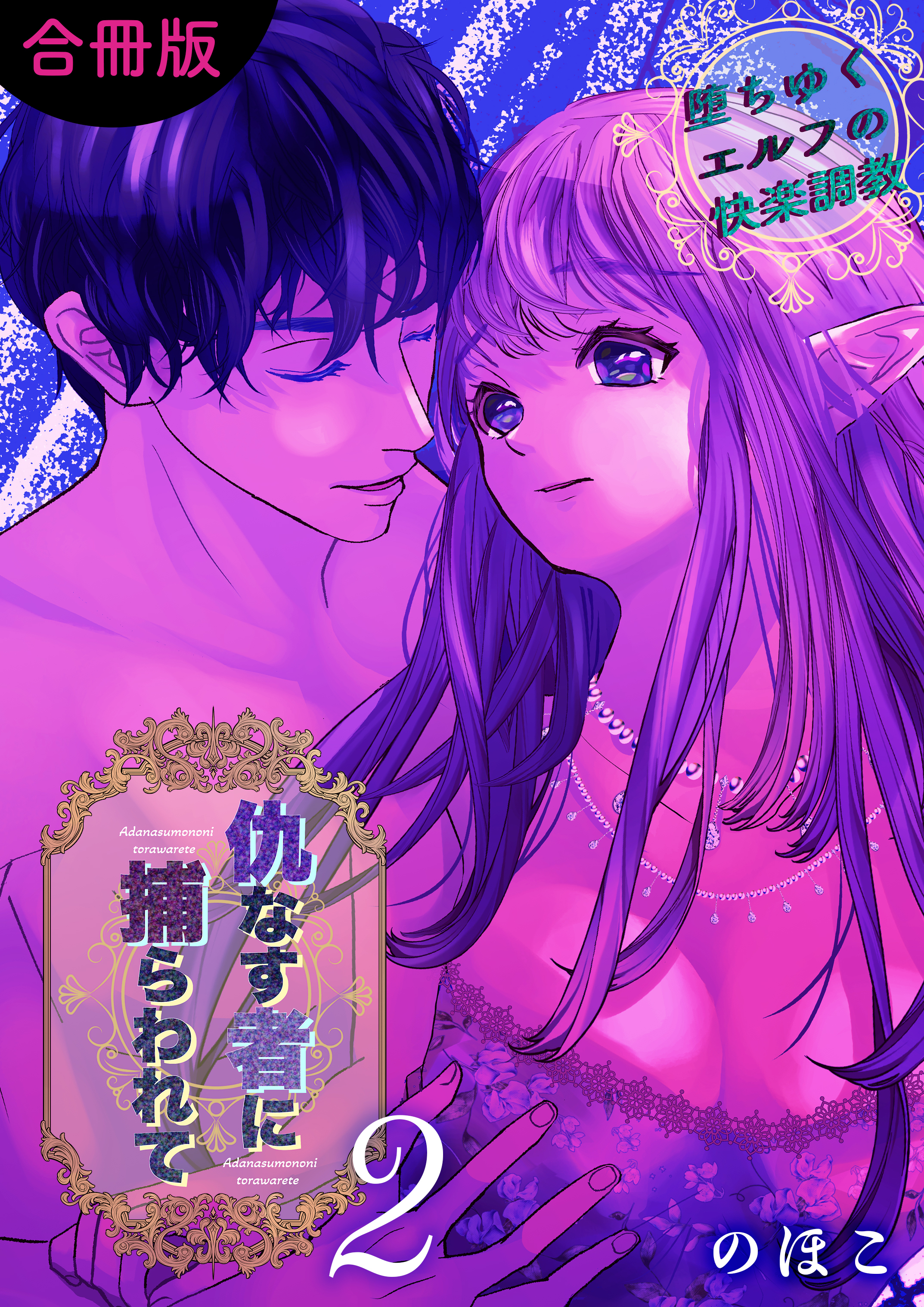 仇なす者に捕らわれて【合冊版】