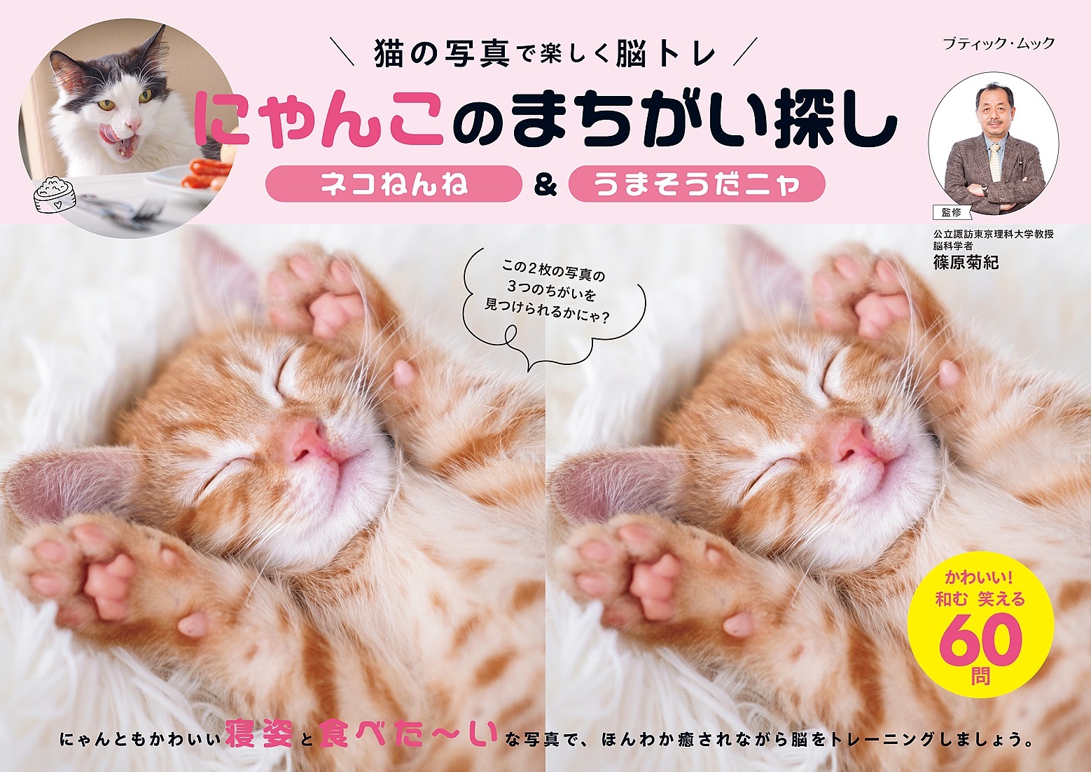 にゃんこのまちがい探し ネコねんね＆うまそうだニャ