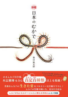 図鑑 日本のむかで