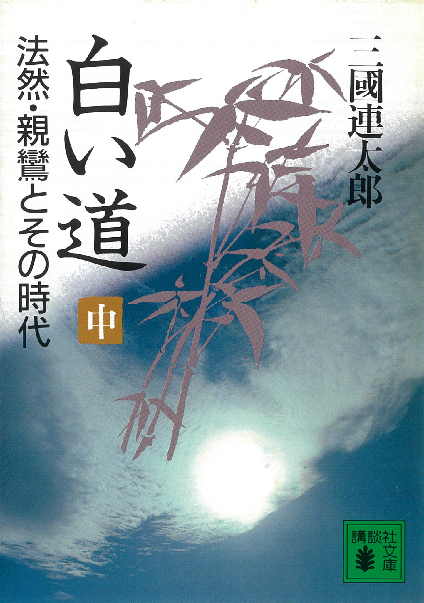 白い道　法然・親鸞とその時代（中）