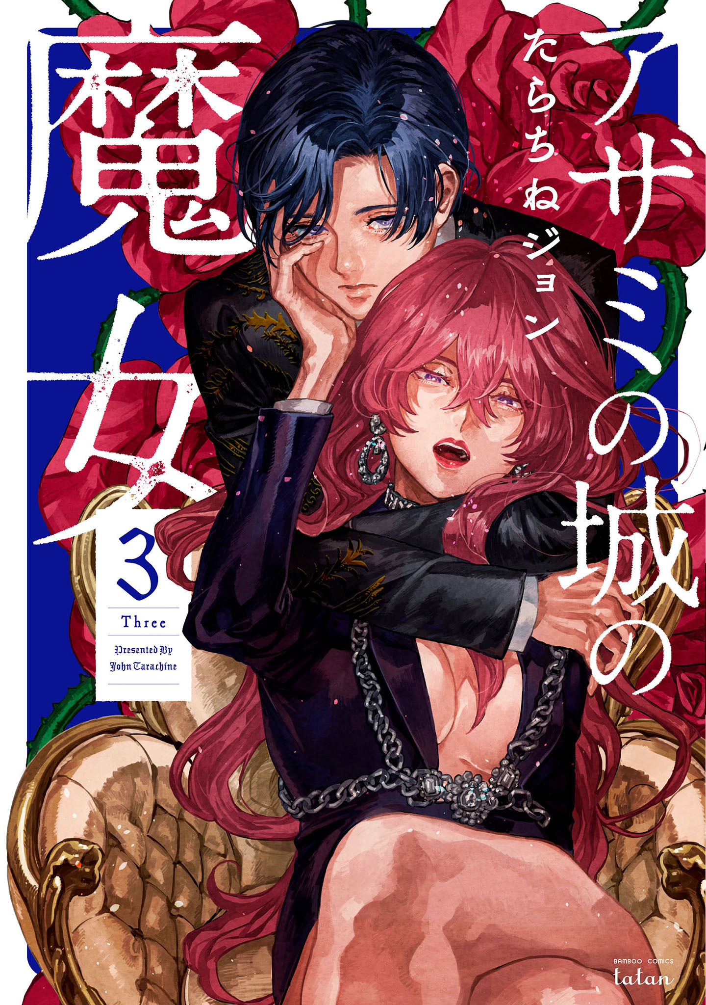 アザミの城の魔女 3巻 無料 試し読みなら Amebaマンガ 旧 読書のお時間です