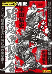 駿河城御前試合1