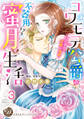 コワモテ公爵の不器用すぎる蜜月生活~ひそやかで淫靡な溺愛~【分冊版】3