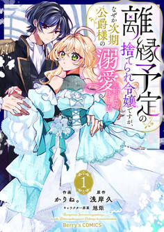 離縁予定の捨てられ令嬢ですが、なぜか次期公爵様の溺愛が始まりました1巻