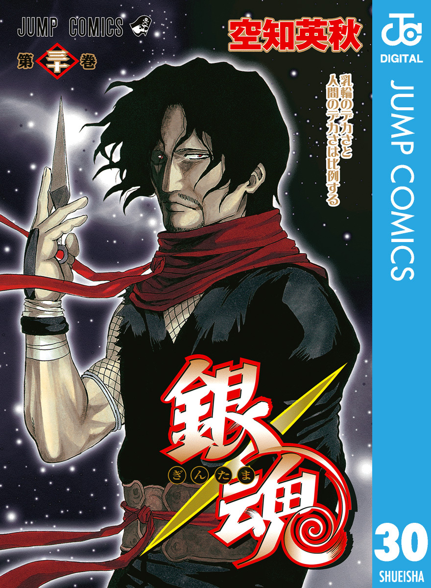 銀魂 モノクロ版 30