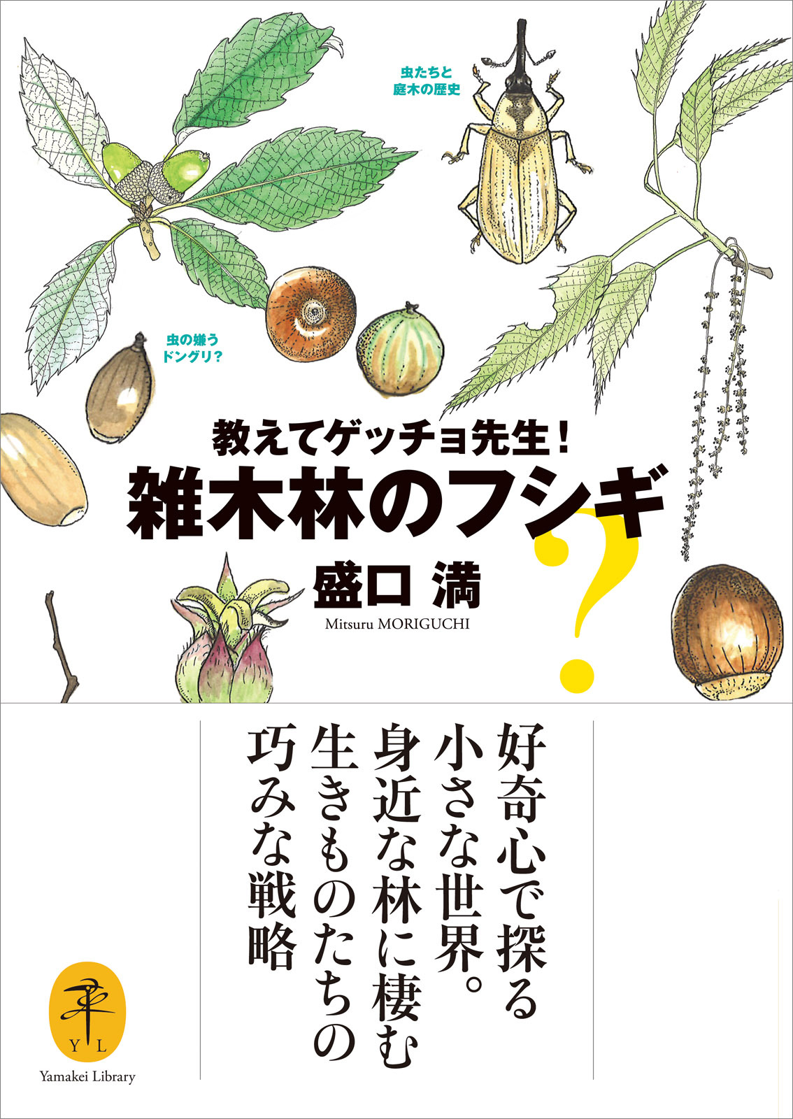 ヤマケイ文庫　教えてゲッチョ先生！雑木林のフシギ