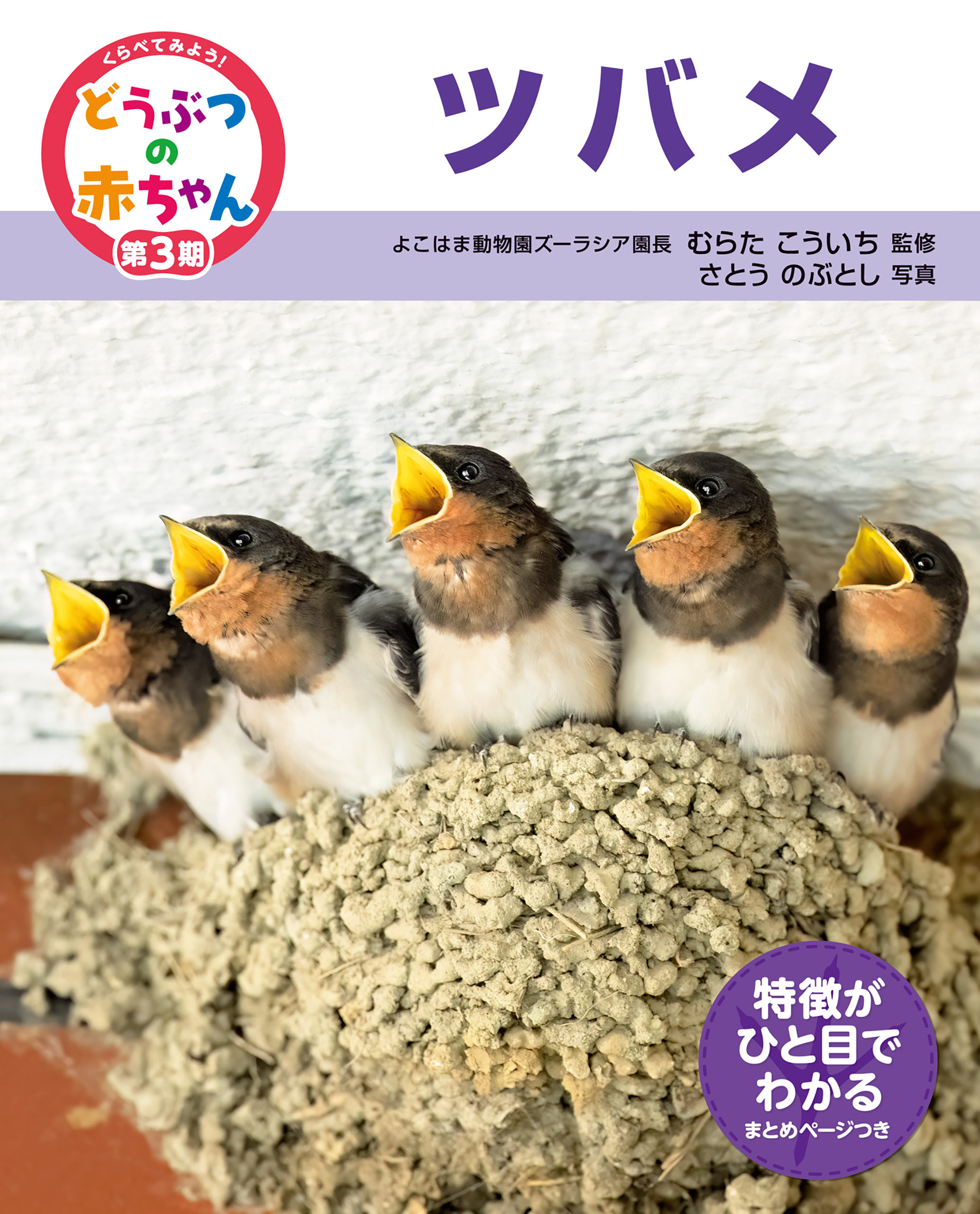 くらべてみよう！どうぶつの赤ちゃん