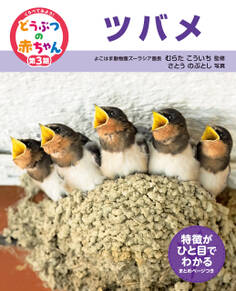 くらべてみよう!どうぶつの赤ちゃん