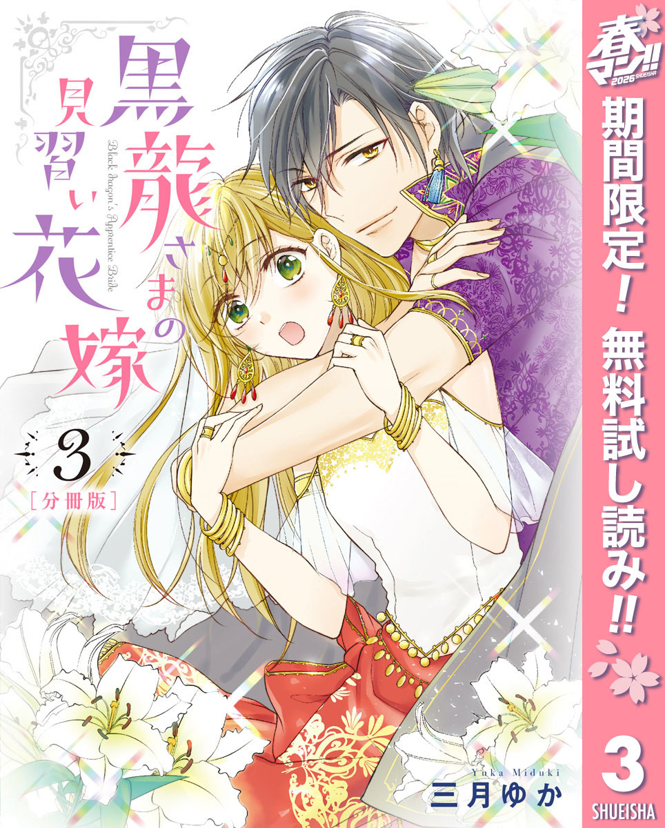 【分冊版】黒龍さまの見習い花嫁【期間限定無料】 3