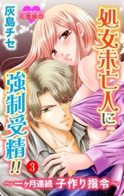 処女未亡人に強制受精！！～一ヶ月連続子作り指令～ ： 3