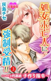 処女未亡人に強制受精!!~一ヶ月連続子作り指令~ : 3