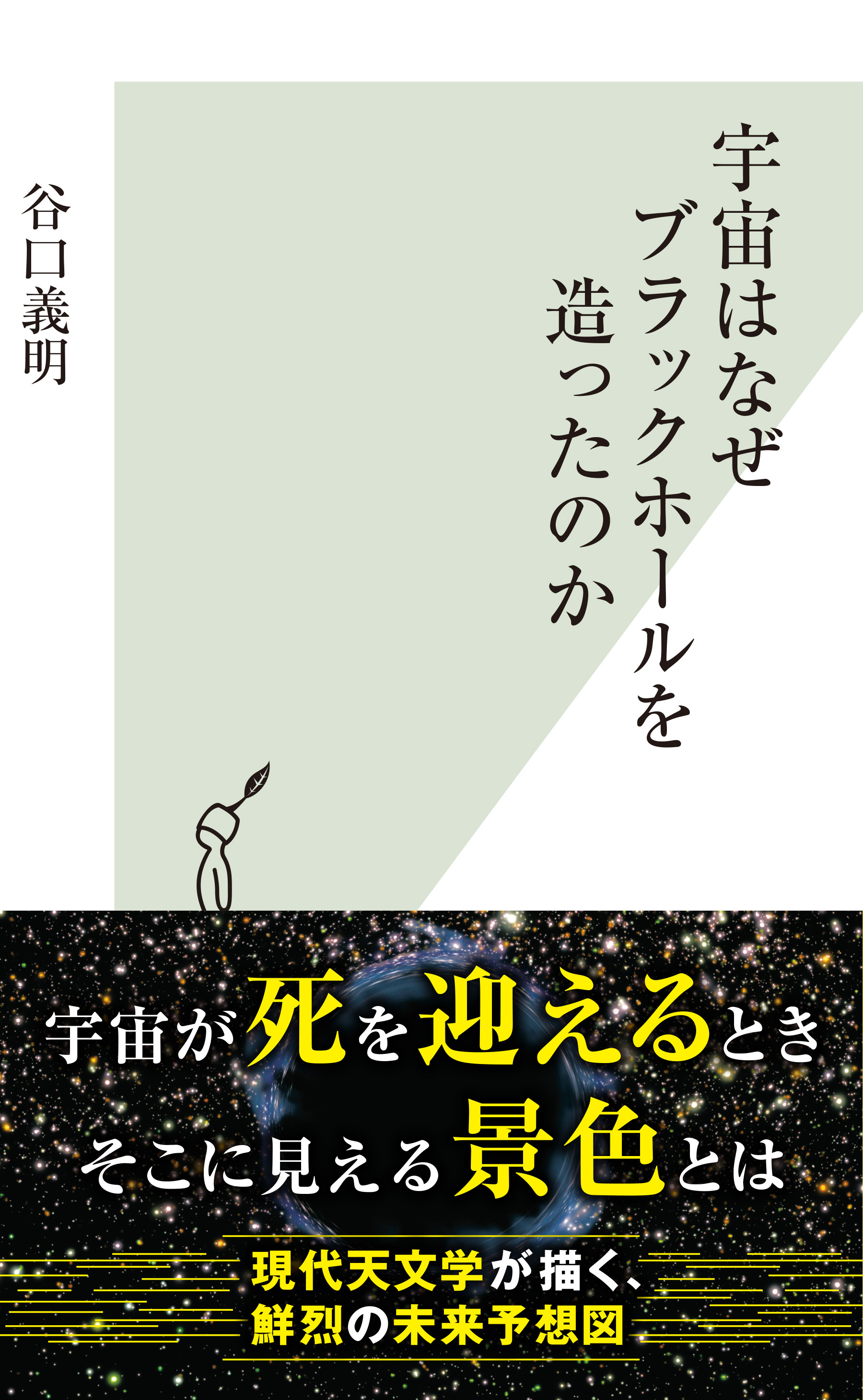 宇宙はなぜブラックホールを造ったのか