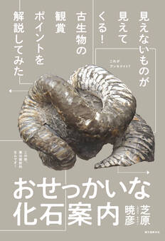 おせっかいな化石案内
