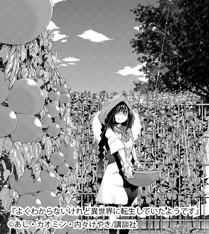 よくわからないけれど異世界に転生していたようです は面白い あらすじや登場人物 見どころを紹介 Amebaマンガ 旧 読書のお時間です