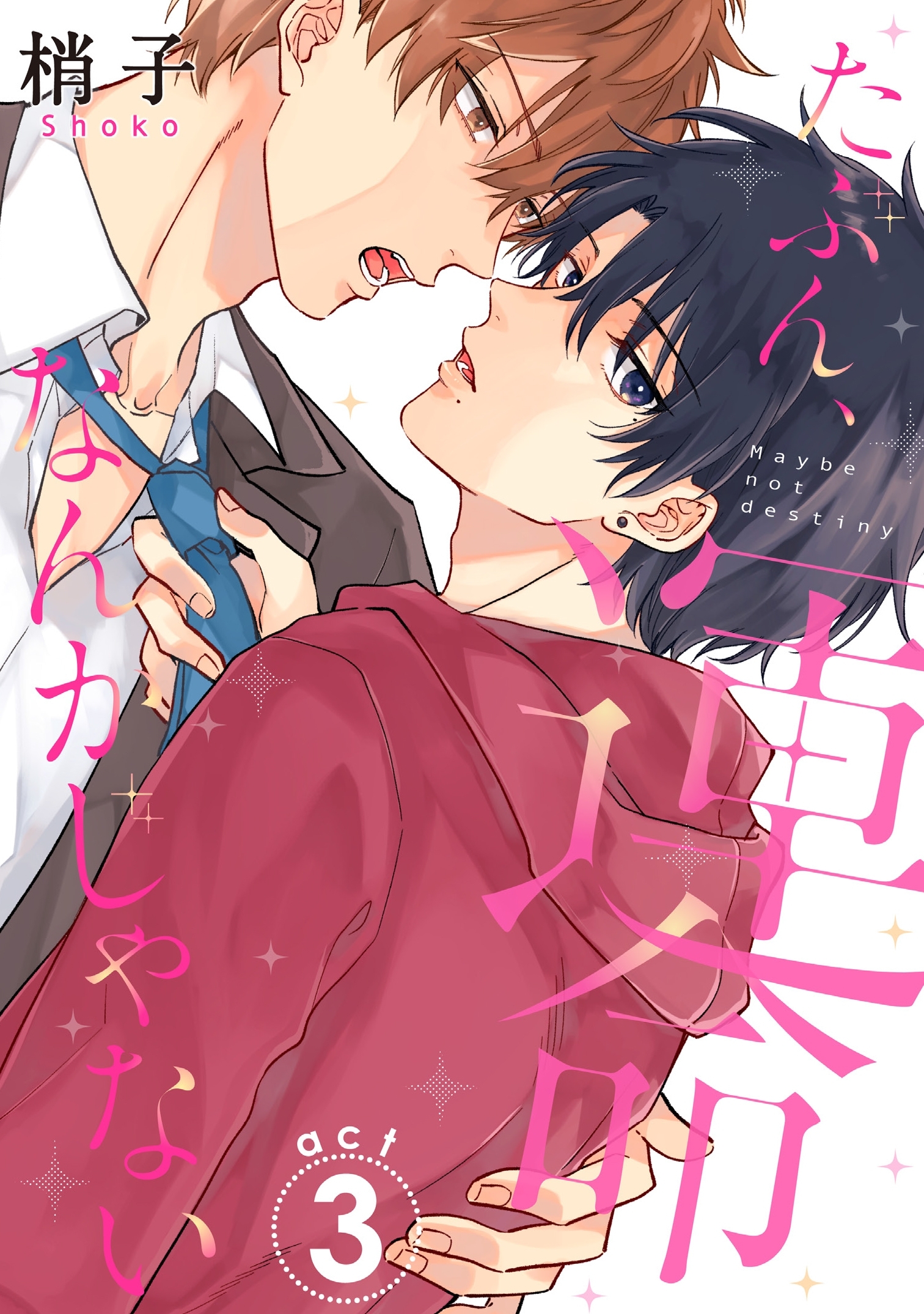 たぶん、運命なんかじゃない（３）